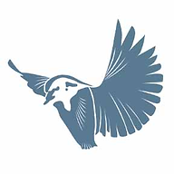 Website icon for 3birdmedia.com