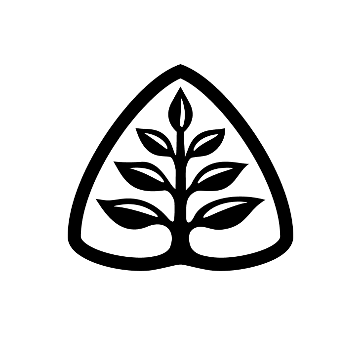 Website icon for 5minutesinchurchhistory.com