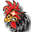 Website icon for academycologne.org