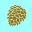 Website icon for adirondackgirlatheart.com