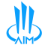 Website icon for aimcongress.com