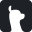Website icon for alpacaguild.com