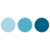 Website icon for altona-diagnostics.com