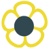 Website icon for amoils.com