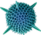 Website icon for aplmicro.com