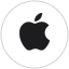 Website icon for apple.xyz