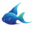 Website icon for aquafish.me