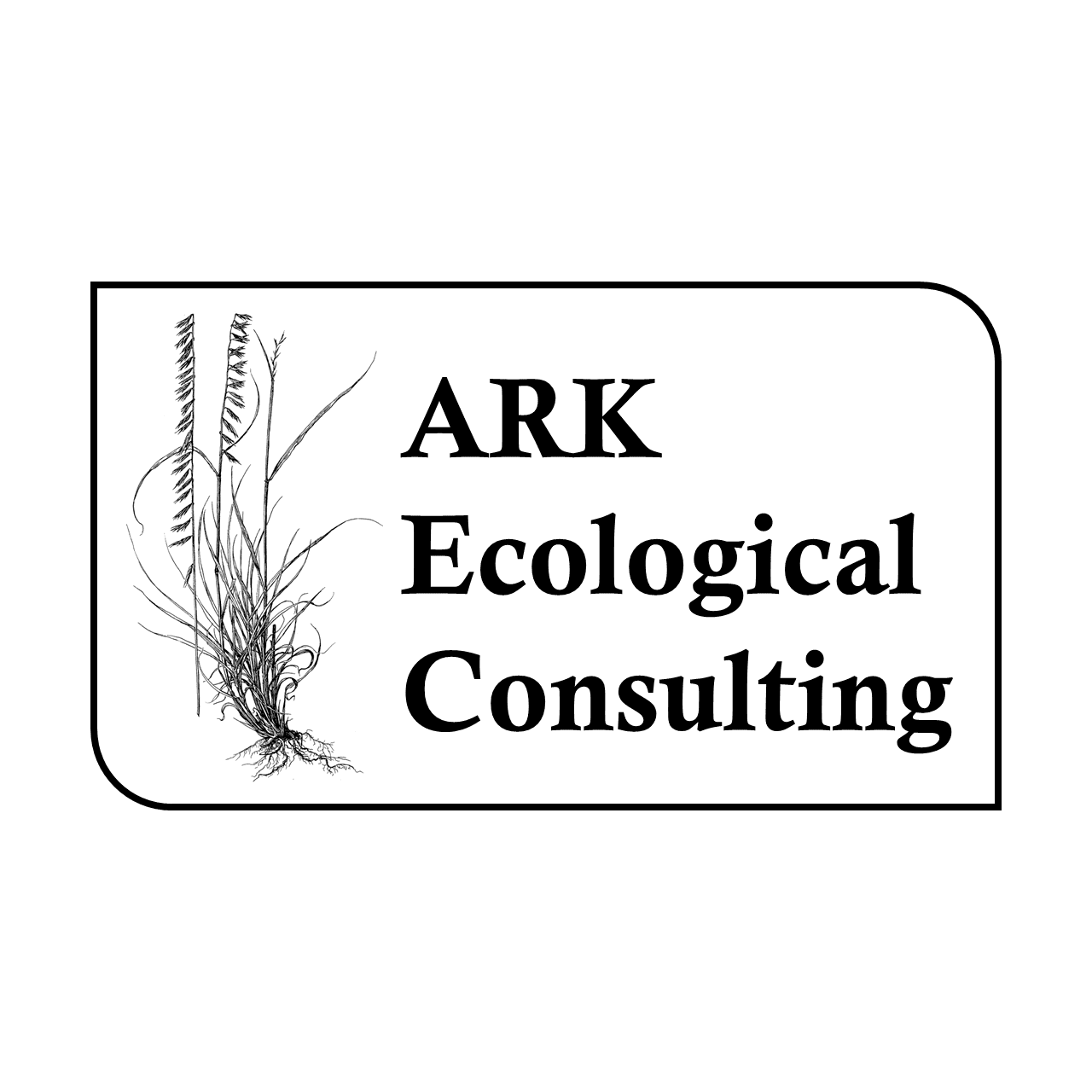 Website icon for arkecological.com
