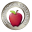 Website icon for auburnschl.edu