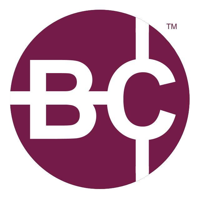 Website icon for authenticbitcoin.com