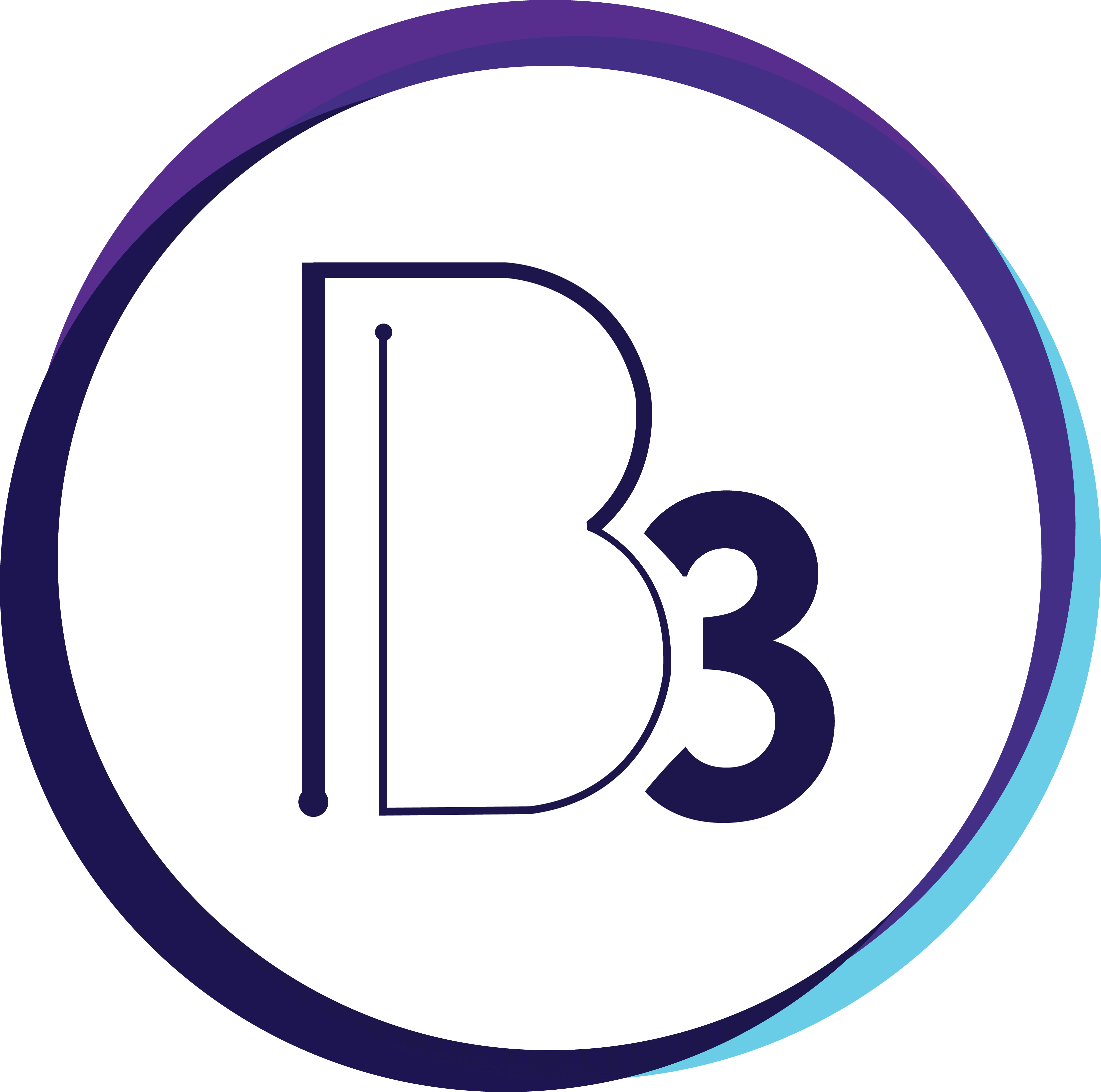 Website icon for b3website.com