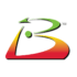 Website icon for balancedscorecard.org