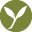Website icon for banyanbotanicals.com