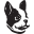 Website icon for baopublishing.it