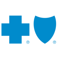 Website icon for bcbsil.com