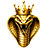 Website icon for bcgdvx.com