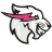 Website icon for beastphilanthropy.org