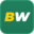 Website icon for betwinnerlive.com