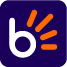 Website icon for bidorbuy.co.za