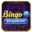 Website icon for bingo8.fun