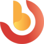 Website icon for biographyshelf.com