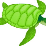 Website icon for biologycorner.com
