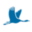 Website icon for birdlife.org.za