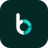 Website icon for biznify.net