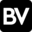 Website icon for blendvision.com