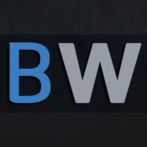Website icon for blizzardwatch.com