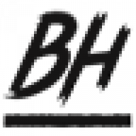 Website icon for blueshouse.it