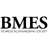 Website icon for bmes.org