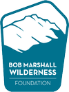 Website icon for bmwf.org