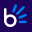 Website icon for bobpay.co.za