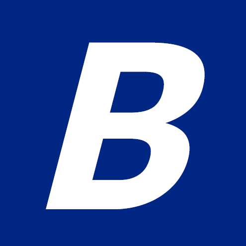Website icon for borqs.com