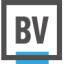 Website icon for brandverity.com