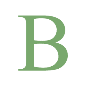 Website icon for breconbeaconsparksociety.org