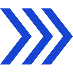 Website icon for brightinsight.com