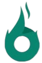 Website icon for brightnous.com
