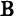 Website icon for brinsea.com