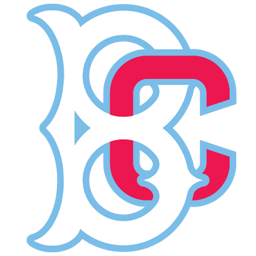 Website icon for brooklyncyclones.com