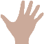 Website icon for bssh.ac.uk