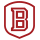 Website icon for bubraves.com