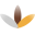 Website icon for buddhistchannel.tv