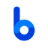 Website icon for bulkradar.com