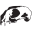 Website icon for buriedwithoutceremony.com