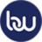 Website icon for businesswireindia.com