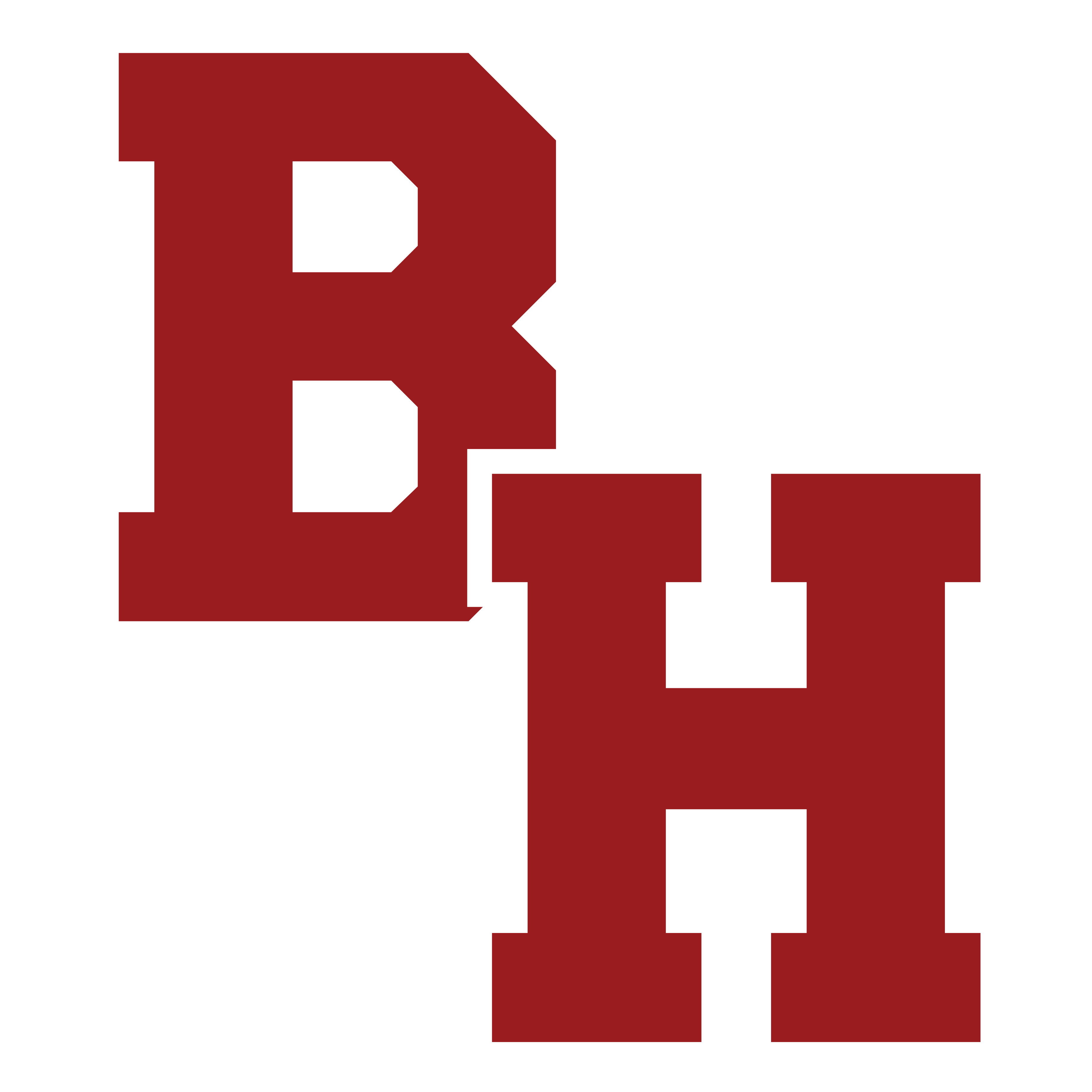Website icon for byramhills.org