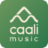 Website icon for caali.ml