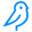 Website icon for canaryspeech.com